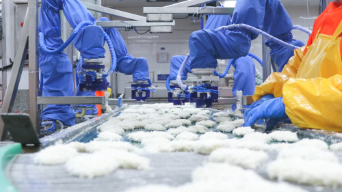 Automated Fish Fillet Shaping Solution