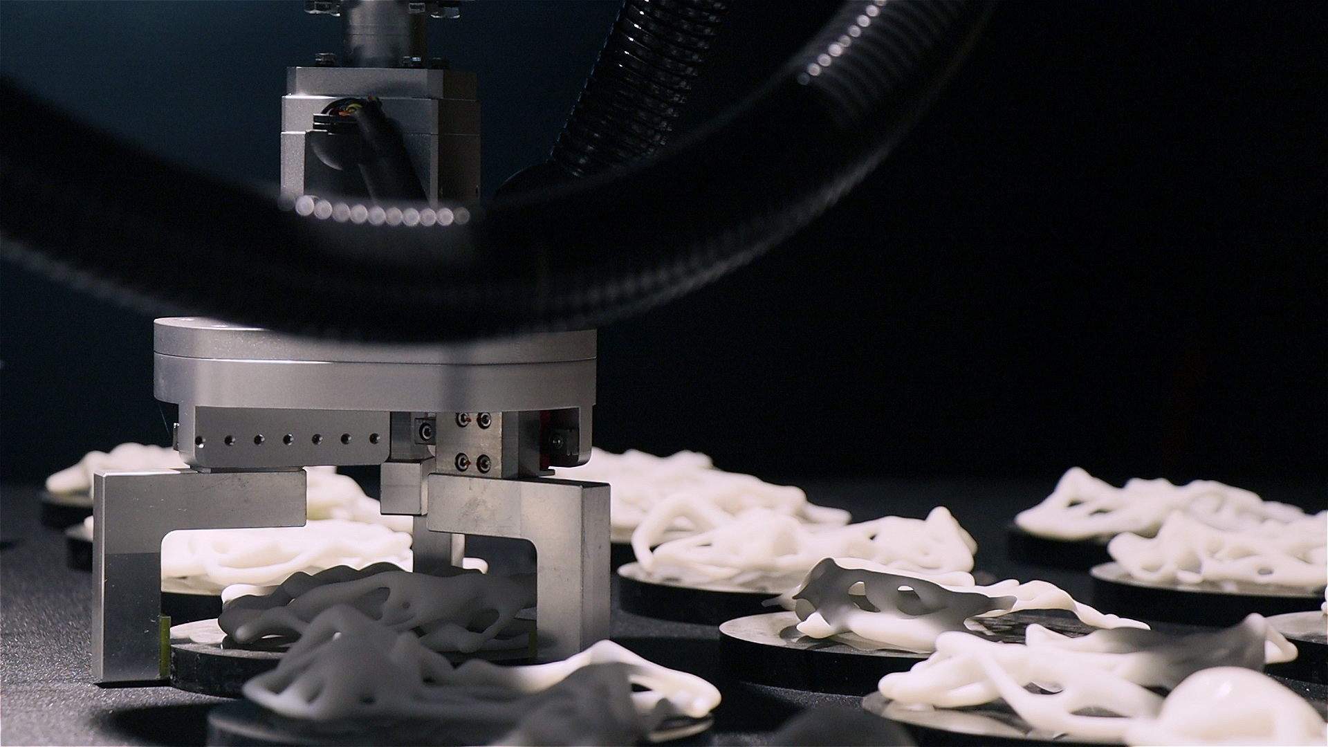 Rizon creating interactive artwork